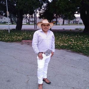 Meet your Posher, Leonardo